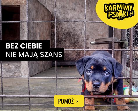 pomagaj codziennie.